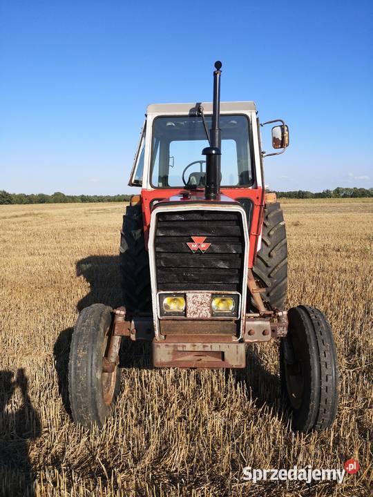 Ciągnik Rolniczy Massey Ferguson 590 595 Mocny Massey Ferguson świętokrzyskie Chmielnik
