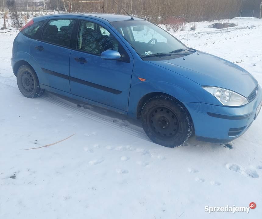 Samochód Ford Focus 2002 Rok produkcji 2002 Rzeszów