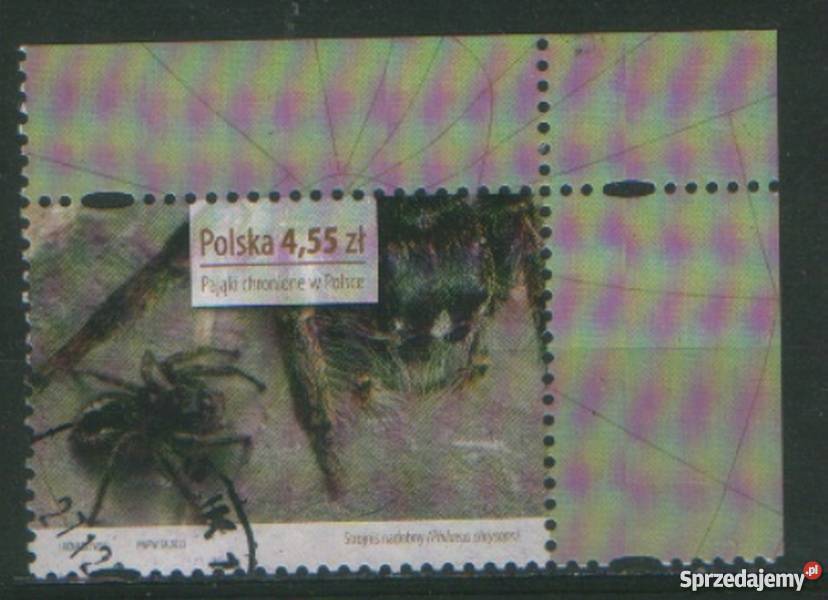 Zn Fi 4507 kas 2013 śląskie