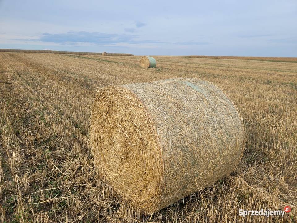 Prasa rolujaca john deere 864 Rolujące (belujące) świętokrzyskie Jędrzejów