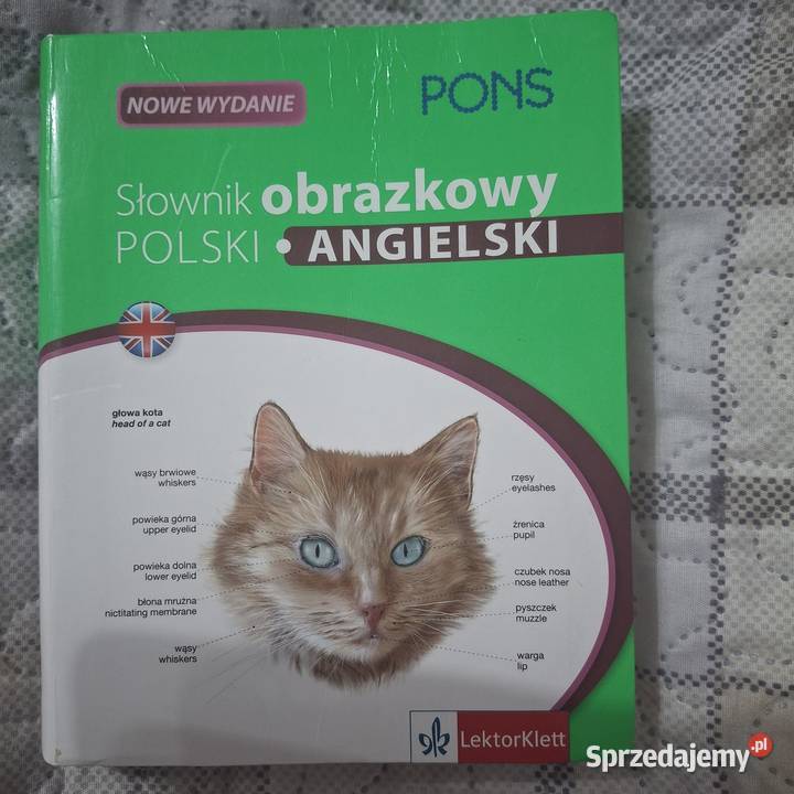 Słownik obrazkowy polskoangielski