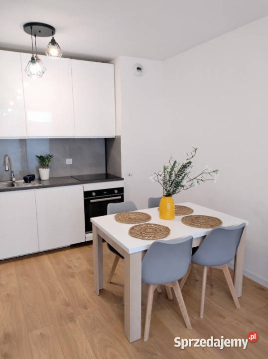 DO WYNAJĘCIA DUŻE MIESZKANIE KRAKÓW PODGÓRZE Kraków