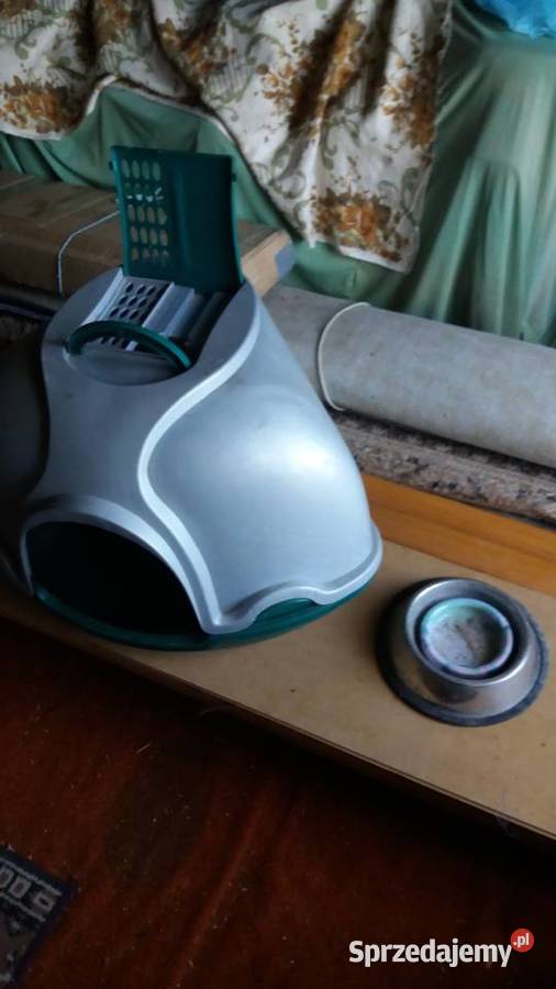 KOJEC KUWETA PIES KOT podkarpackie