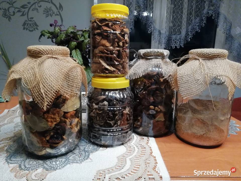 Grzyby suszone prawdziwki podgrzybki lejkowiec Leśne Chałupy