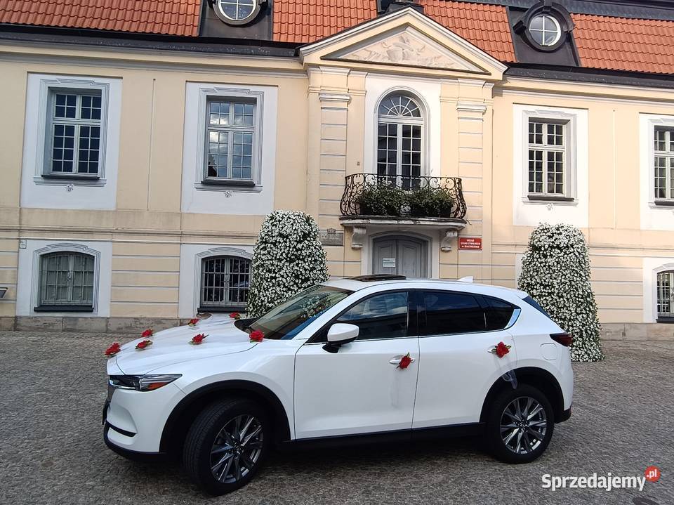 Przewóz osób na lotnisko Białystok przewóz osób