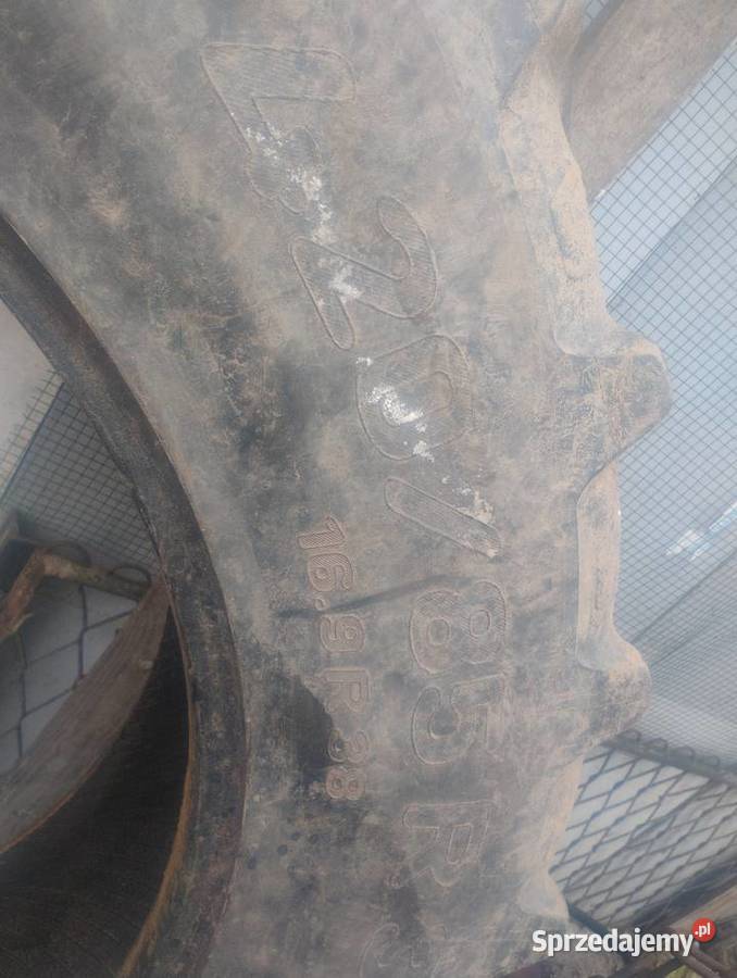 Opony radialne 4208538 16938 Pleszew