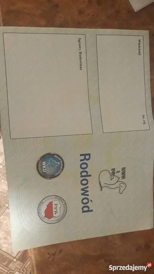 oddam Łagiewniki Nowe