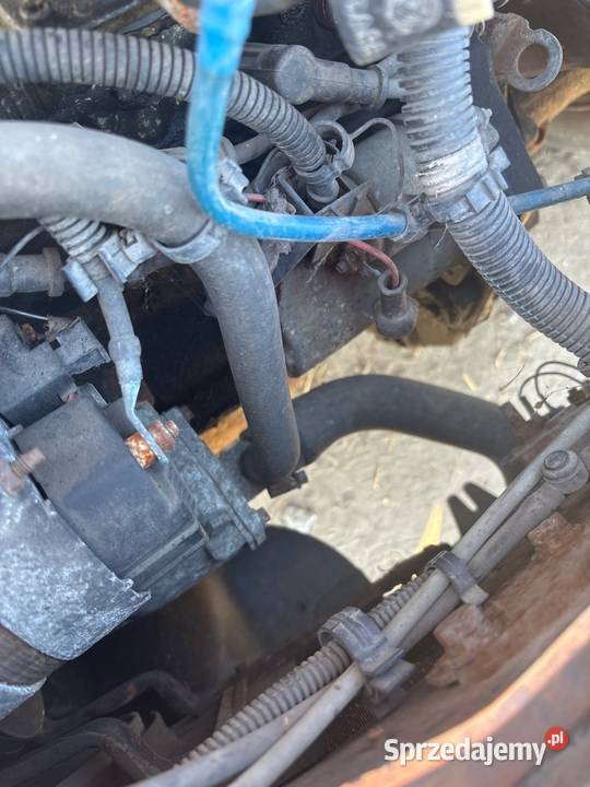 Fiat seicento złoty Pruszcz Gdański