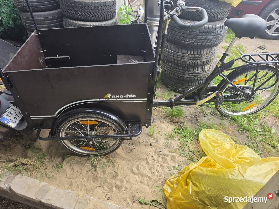 Rower towarowy cargo FanoTec FT95 Pozostałe
