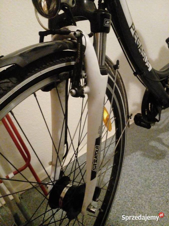 Rower Pegasus Piazza 28 rama 45 3x7 pomorskie