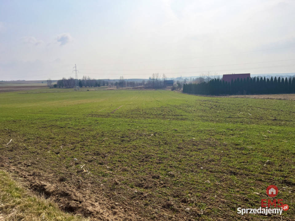 Działka Nowe Aleksandrowo 13000m2 Sprzedaż podlaskie