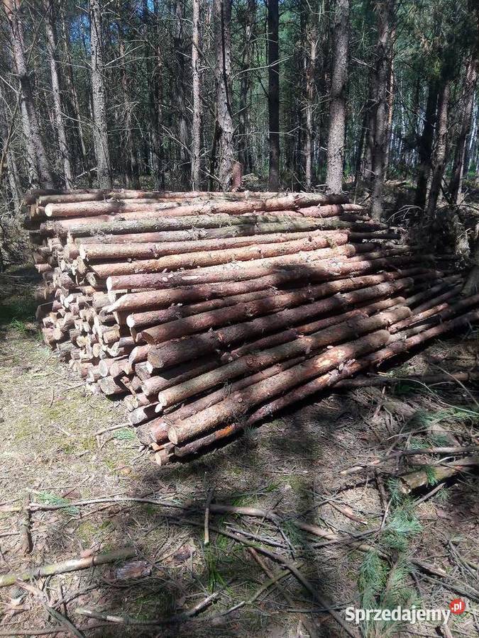 Drewno opałowe suche Poznań sprzedam