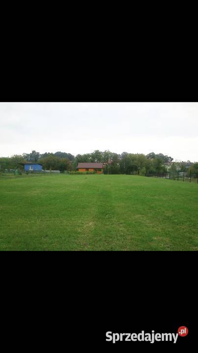 Ogródek działkowy ROD PSZCZÓŁKA GLIWICE ŁABĘDY