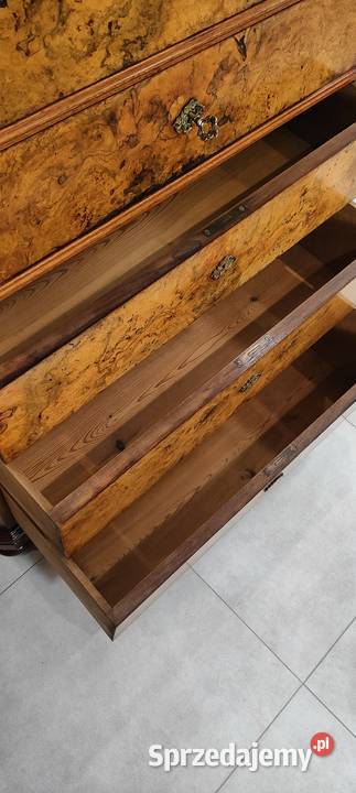 Ekskluzywna szyfoniera biedermeier 7 szuflad