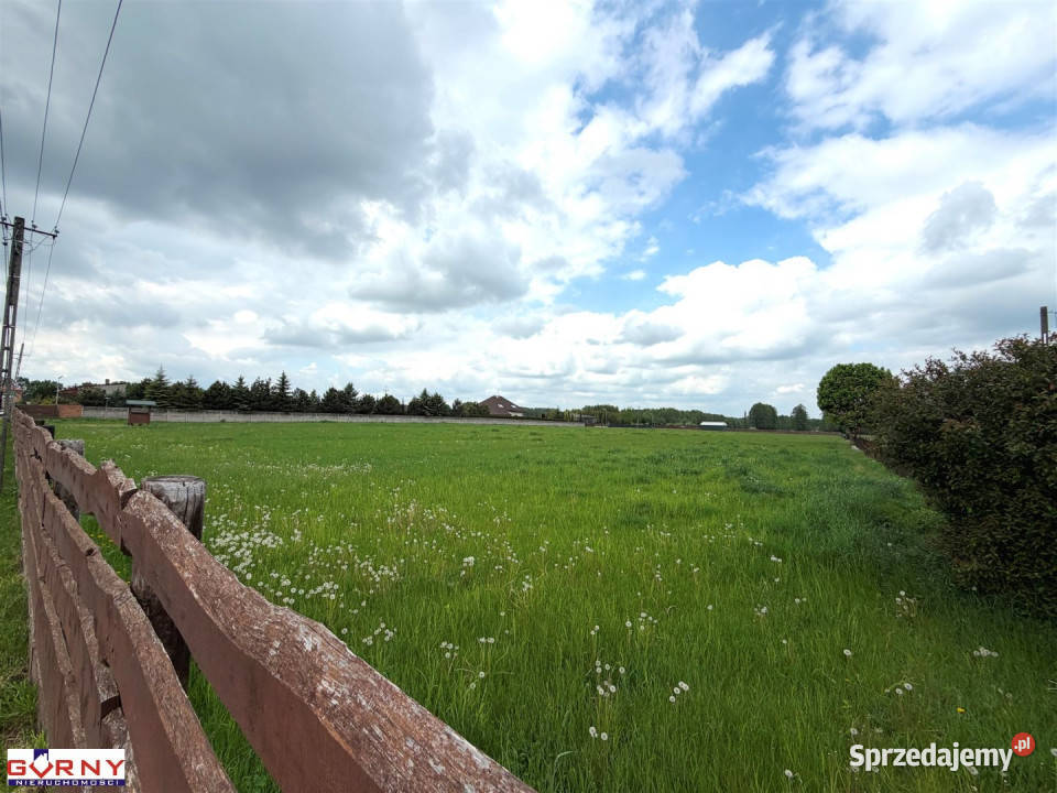 Ogłoszenie działka 1199m2 Plucice 1199m2