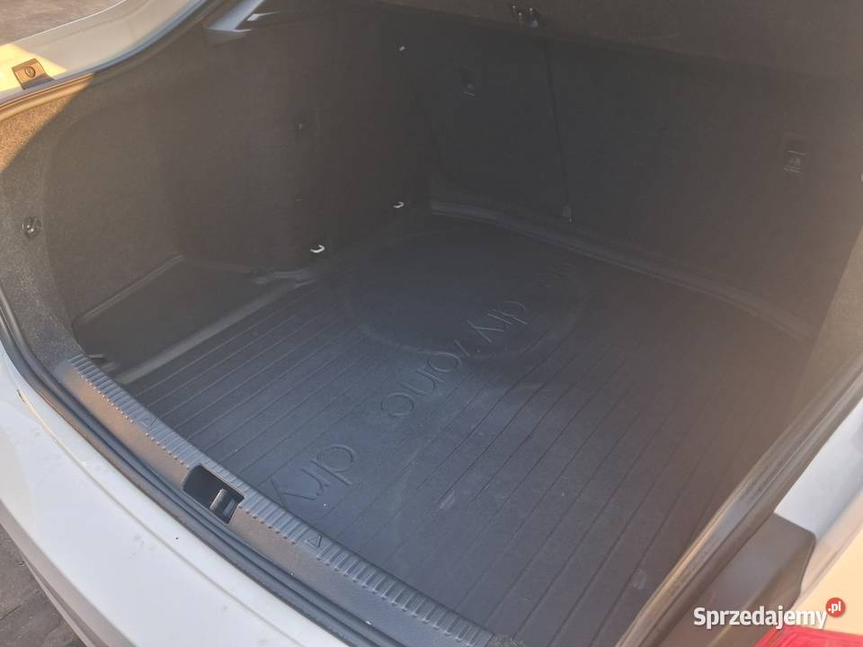 Polski Salon Bezwypadkowy