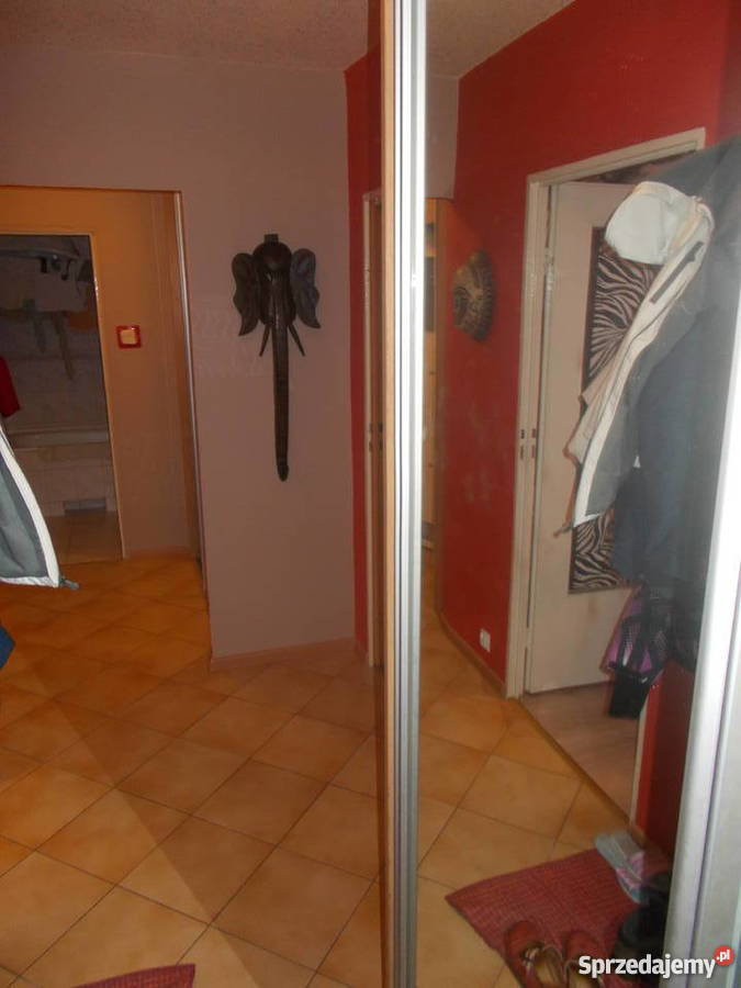 M4 Chojny Gładka 62m2 bezpośrednio Nieruchomości łódzkie Łódź