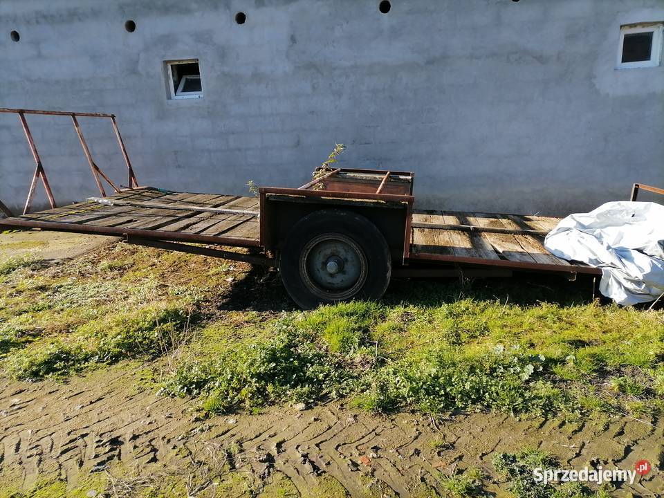 Dłużyca nieuszkodzony Rolnictwo Drogusza