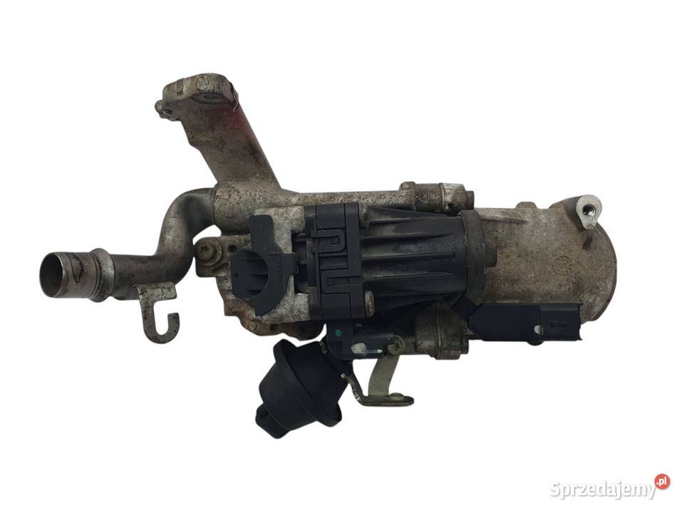 CHŁODNICA SPALIN Z ZAWOREM EGR Ford Focus III 16 lubelskie Chełm