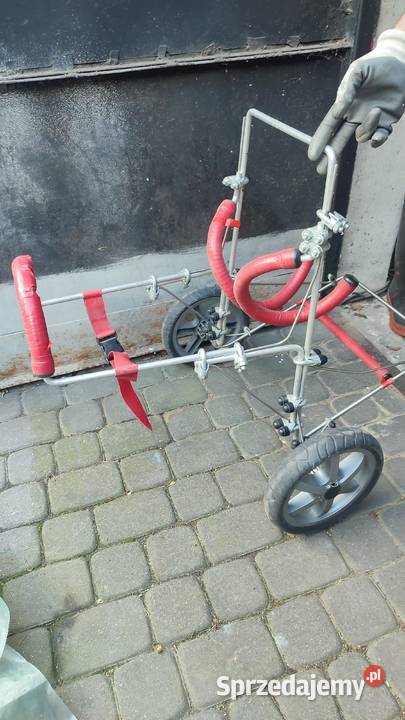 Wózek inwalidzki psa z niedowładem kończyn Brwinów
