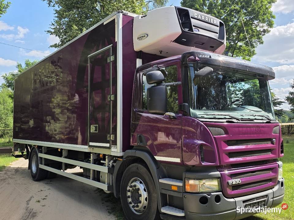 Scania CHŁODNIA SUPRA 955 MT CHŁODNIA 20 Chłodnie Radom