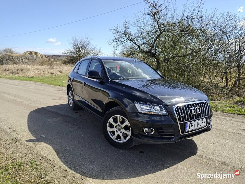 Audi Q5 Wola Zagojska Dolna