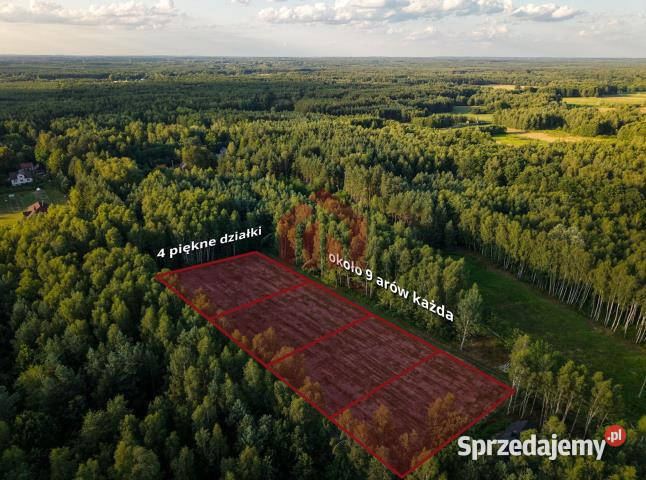 Działka 900m2 Czarna Sędziszowska asfalt