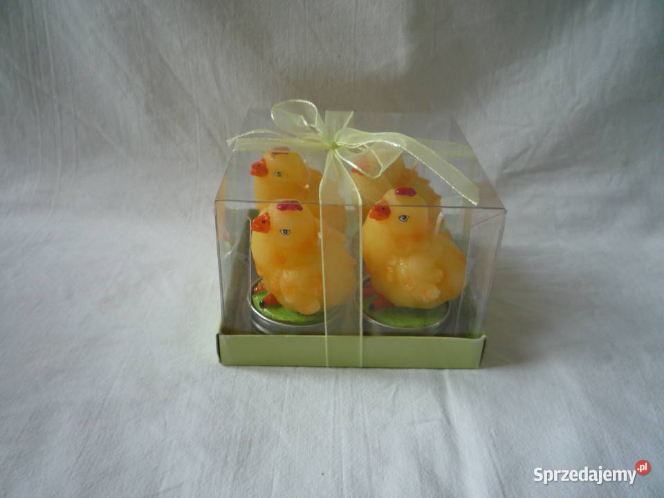 4 sztuki Świczki Kurka Kurczaki zachodniopomorskie Szczecin