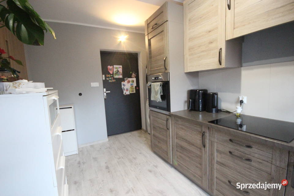 1pok 24met Parku Prackiego TARAS REMONCIE dolnośląskie Wrocław