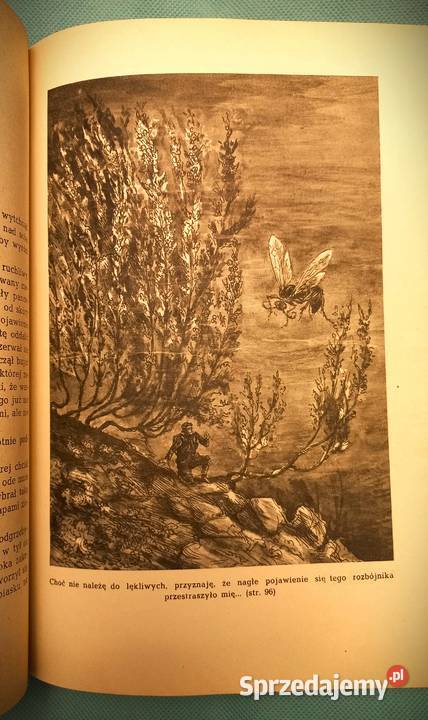 Doktor Muchołapski fantastyczne przygody w mazowieckie Łomianki