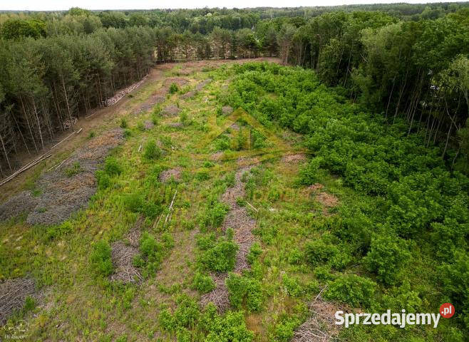 Grunt Żabia Wola 3000m2 sprzedam