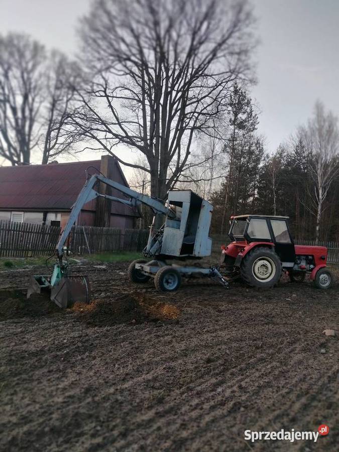 Cyklop polski nieuszkodzony Pozostałe Kawki