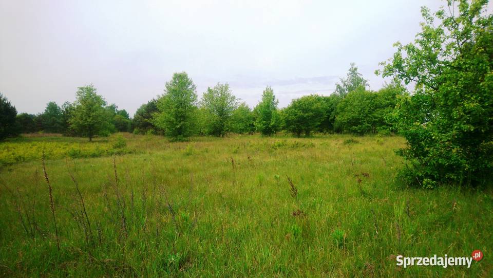Sprzedam działkę budowlaną o pow 1093 m2 z Sprzedaż Popielżyn-Zawady