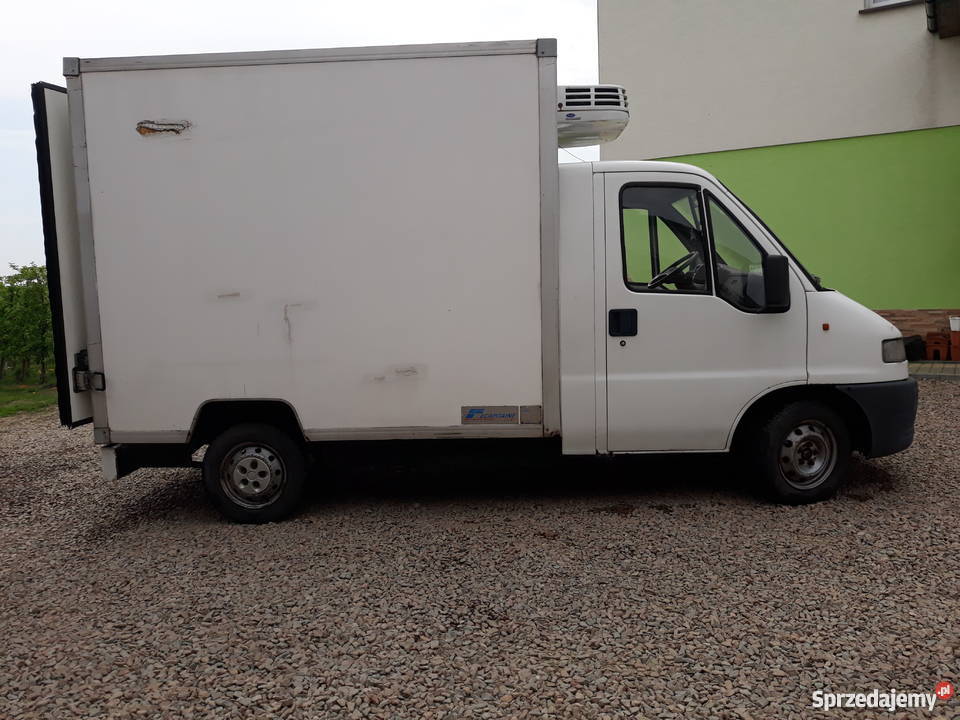 Citron Jumper 25D chłodnia Raciechowice