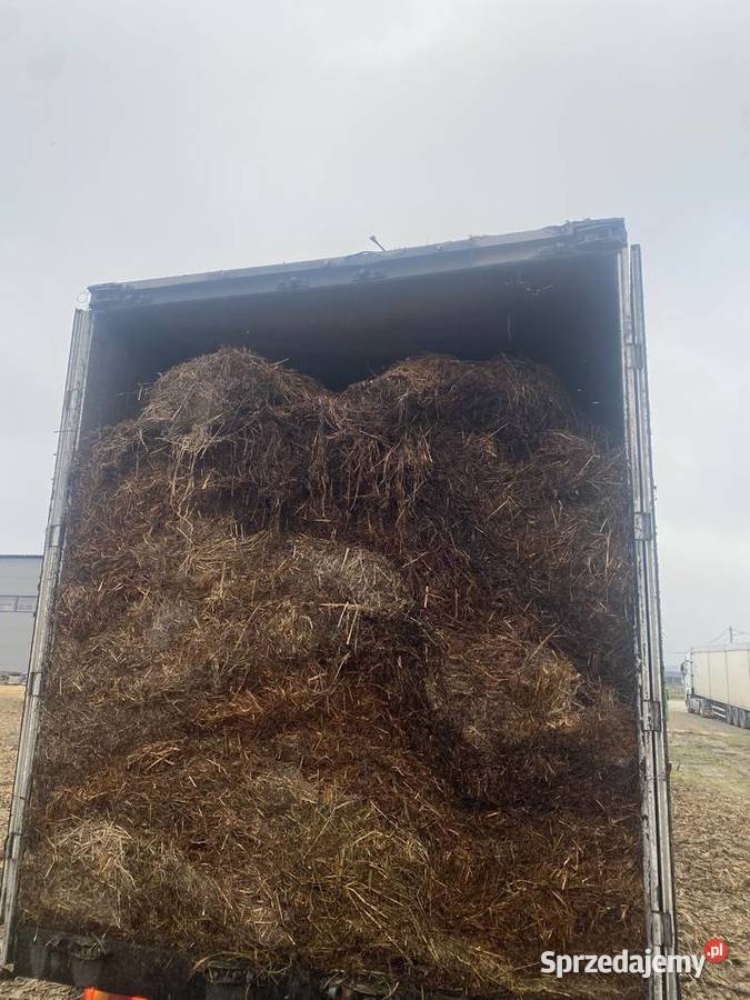 Sprzedam obornik koński Radzyń Podlaski