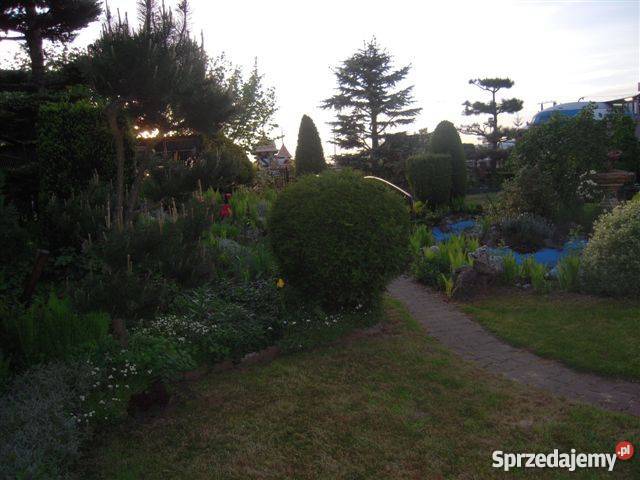 Restauracja samolot z działką Gastronomia śląskie Kościelec