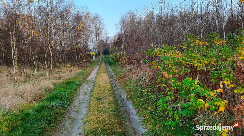 działka budowlana grodzisko gm żytno pow