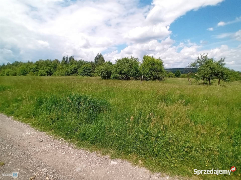 Grunt 820m2 Zagnańsk utwardzona Sprzedaż sprzedam