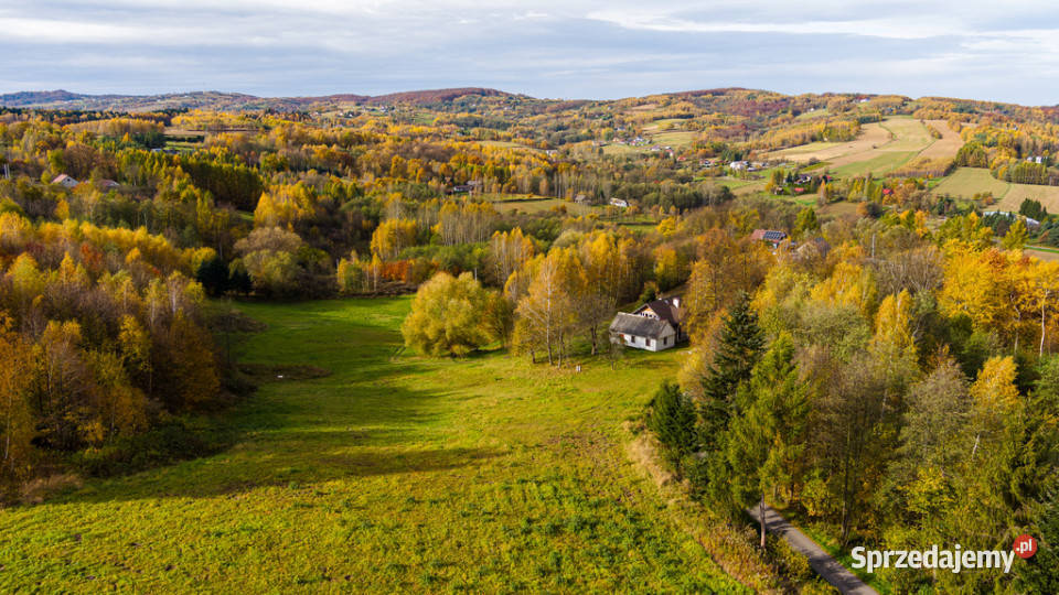 Działka budowlana Meszna Opacka 16 ar małopolskie sprzedam