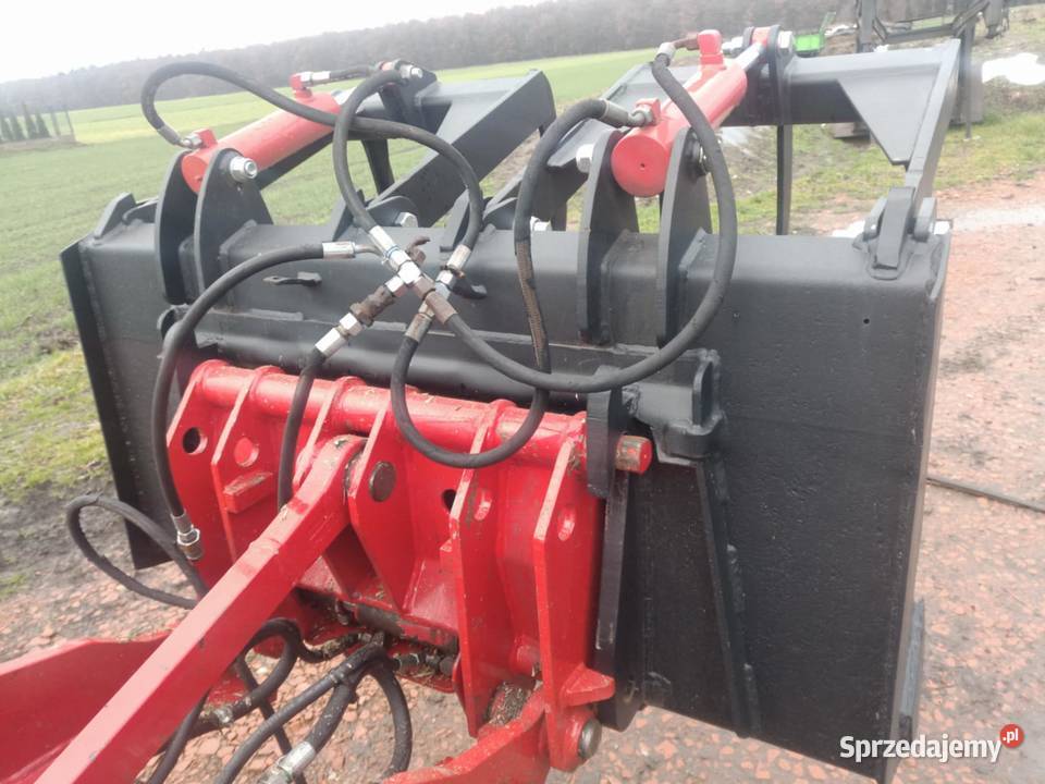 Krokodyl masywny sprzedam