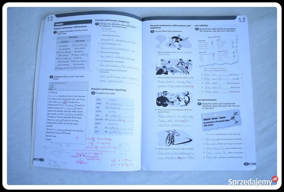 Drea Team 1 workbook 1 Sharman i Whitney Płock sprzedam