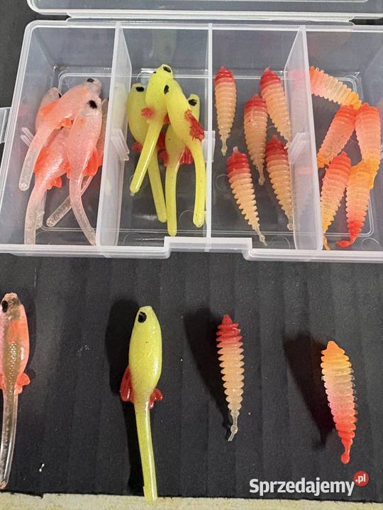 Przynęty Tanta i Pintal Lichnowy sprzedam