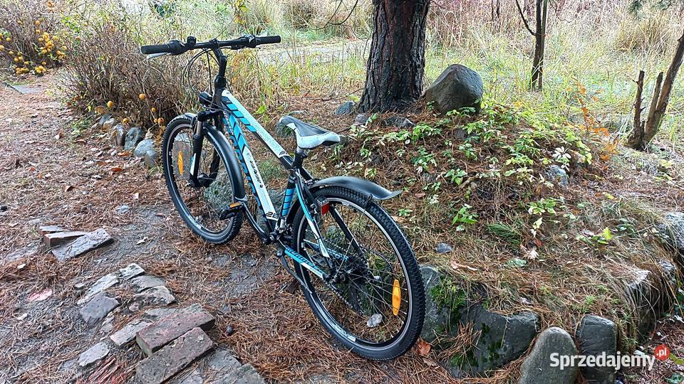 Alu Rower Górski Atb Młodzieżowy Morrison Beaver dolnośląskie Wołów