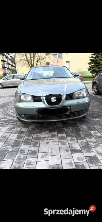 Samochód Seat Ibiza 2005r opolskie Brzeg
