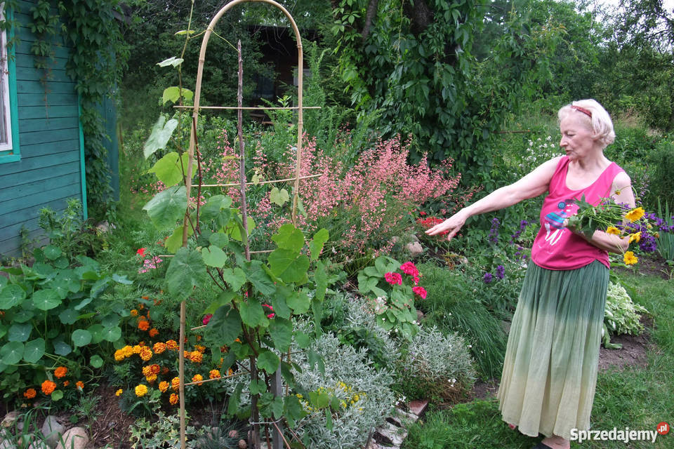 Sprzedam działkę ROD 350m2 Warszawa Nadwiśle sprzedam