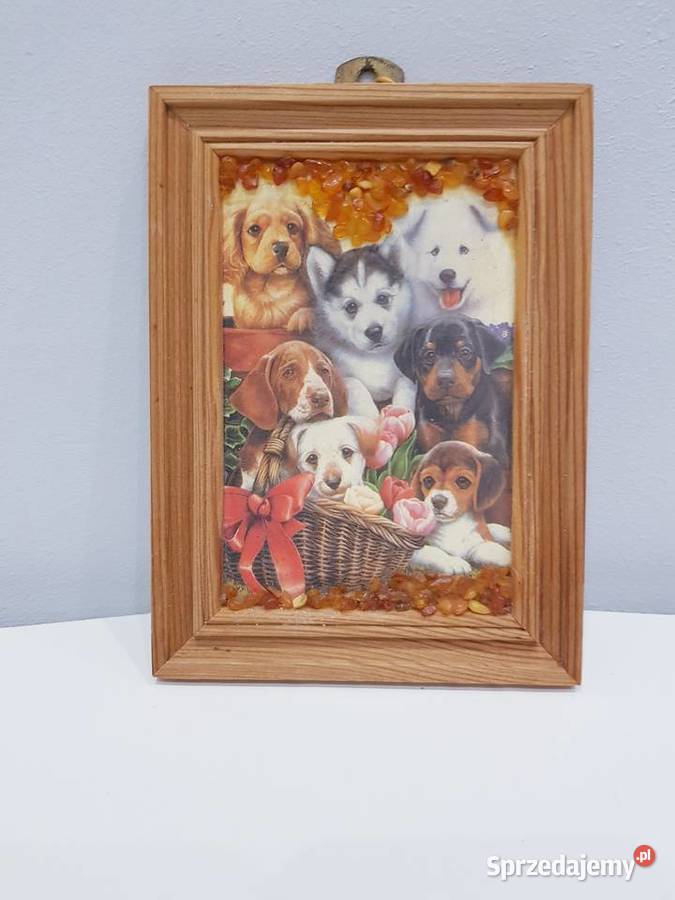 Ozdobny obrazek z bursztynkami Dąbrowa Górnicza