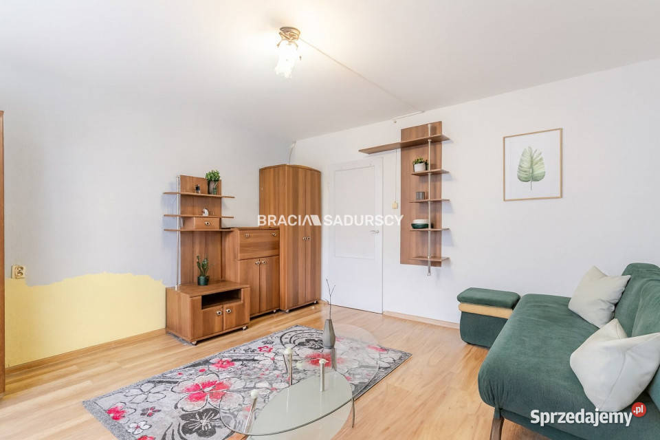 Mieszkanie Kraków 243m 1pokojowe Sprzedaż sprzedam