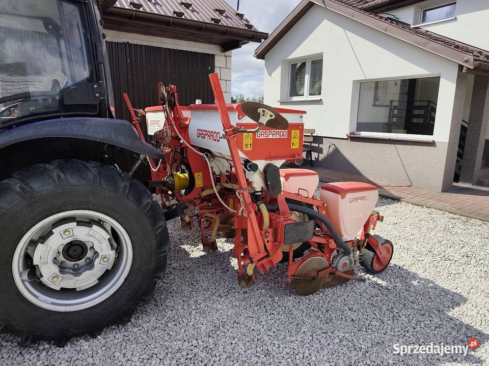 Siewnik talerzowy do kukurydzy gasspardo SP 540 Maschio Rzeczniów
