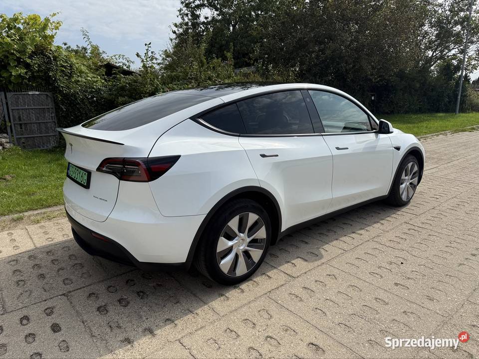 Tesla Model Y 2023r DualMotor 515koni Long Range automatyczna pomorskie Słupsk