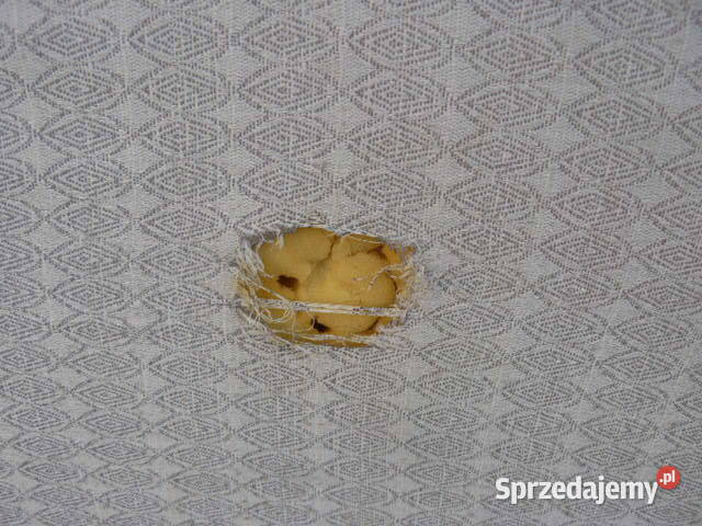 Lozko polowe skladaneze stelazemkolkami Łóżka podkarpackie Rzeszów